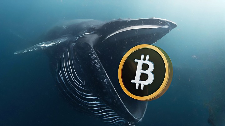 Balinaların Devasa Bitcoin (BTC) Satın Alımları, Fiyatı Yükseltebilecek mi?