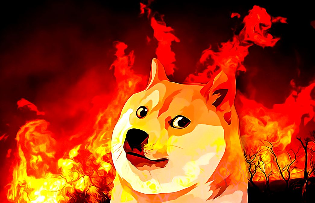 Dogecoin İçin Kritik Seviyeler Belirlendi! Bu Seviyeleri Gören Yatırımcılar Mutlu Olacak!