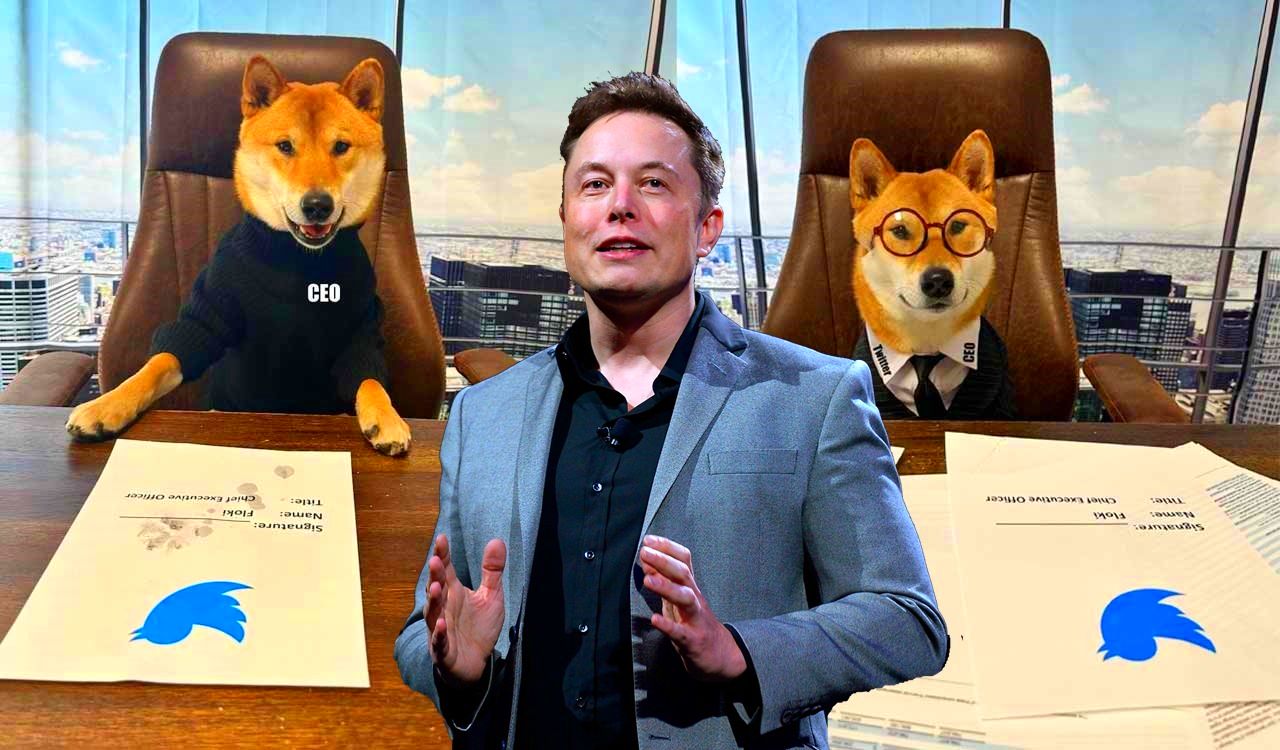 Elon Musk Bombayı Patlattı! Önce Doge Sonra Shiba, Peki Şimdi Sırada Ne Var?