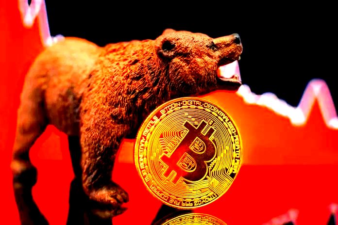 Kripto Para Analiz Şirketi Açıkladı: “Bitcoin’de Bu Dönem Öncekilerden Çok Farklı!”